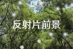 随着反射片行业竞争的不